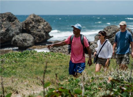 Explore Barbados